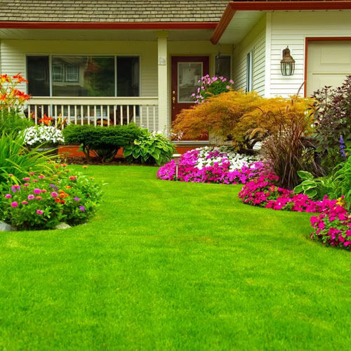 Landscaped Yard Landscaped Yard
